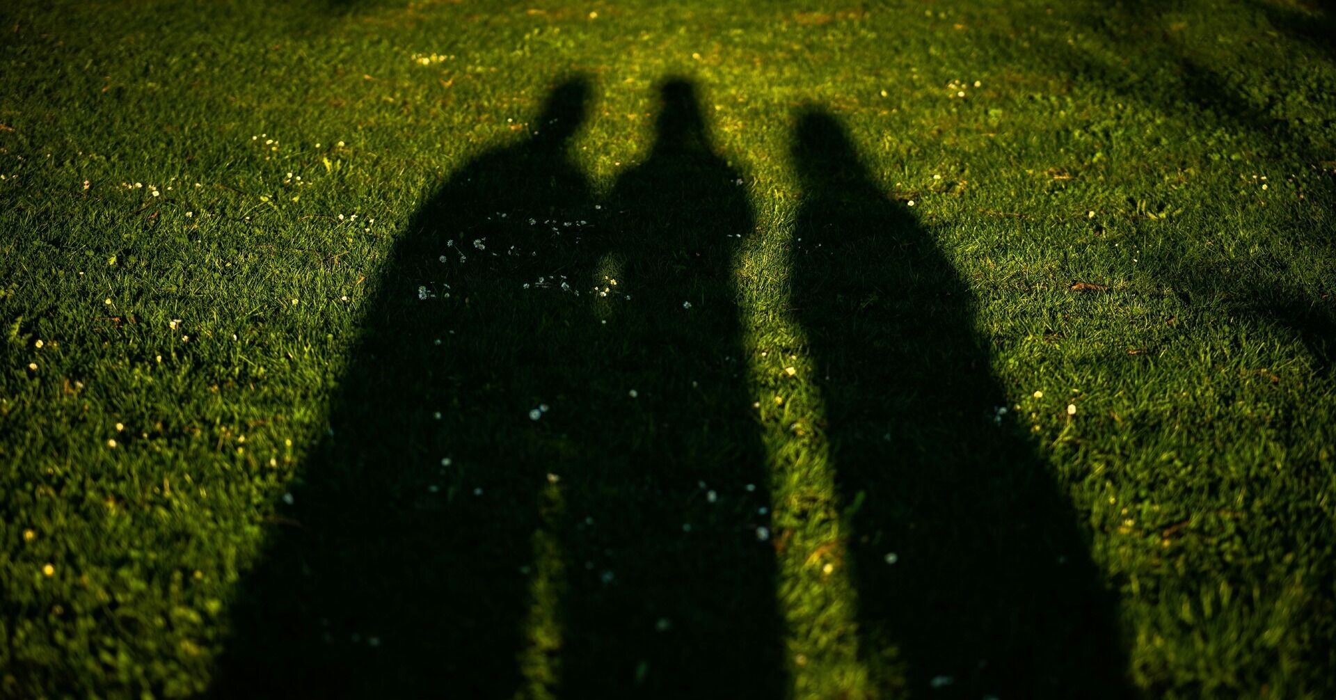 Silhouettes of three young people taking a selfie of their shadows cast on a grassy field.